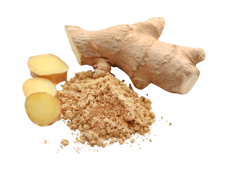 Ginger